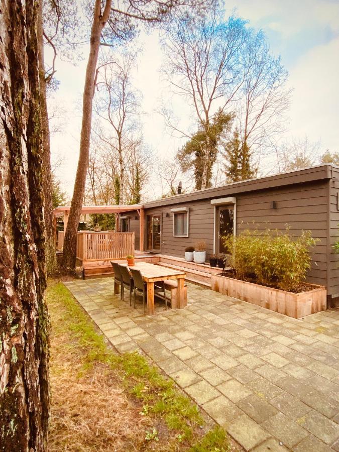 Trendy House Hattem Nr4 Chalet